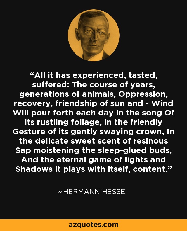 All it has experienced, tasted, suffered: The course of years, generations of animals, Oppression, recovery, friendship of sun and - Wind Will pour forth each day in the song Of its rustling foliage, in the friendly Gesture of its gently swaying crown, In the delicate sweet scent of resinous Sap moistening the sleep-glued buds, And the eternal game of lights and Shadows it plays with itself, content. - Hermann Hesse