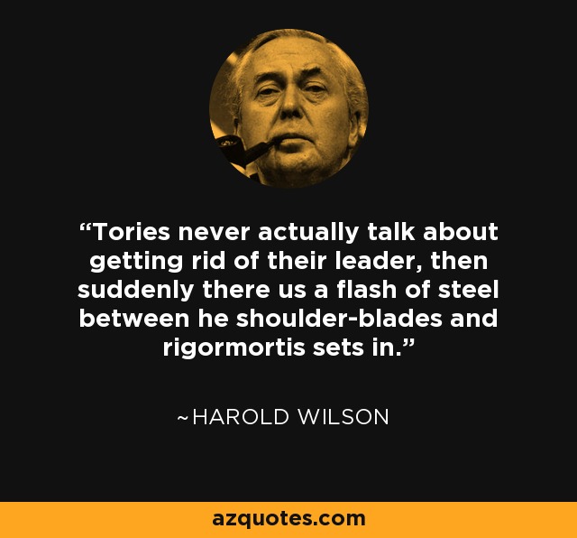 Tories never actually talk about getting rid of their leader, then suddenly there us a flash of steel between he shoulder-blades and rigormortis sets in. - Harold Wilson