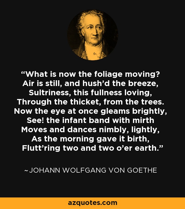 What is now the foliage moving? Air is still, and hush'd the breeze, Sultriness, this fullness loving, Through the thicket, from the trees. Now the eye at once gleams brightly, See! the infant band with mirth Moves and dances nimbly, lightly, As the morning gave it birth, Flutt'ring two and two o'er earth. - Johann Wolfgang von Goethe