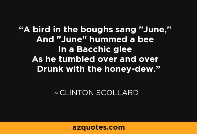 A bird in the boughs sang 