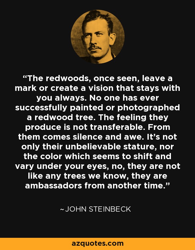 The redwoods, once seen, leave a mark or create a vision that stays with you always. No one has ever successfully painted or photographed a redwood tree. The feeling they produce is not transferable. From them comes silence and awe. It's not only their unbelievable stature, nor the color which seems to shift and vary under your eyes, no, they are not like any trees we know, they are ambassadors from another time. - John Steinbeck