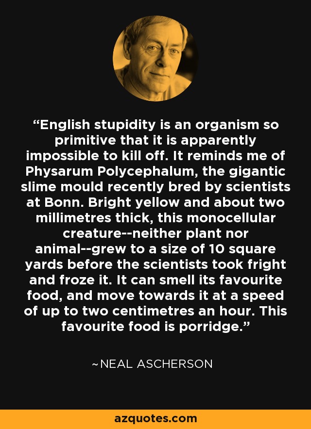 English stupidity is an organism so primitive that it is apparently impossible to kill off. It reminds me of Physarum Polycephalum, the gigantic slime mould recently bred by scientists at Bonn. Bright yellow and about two millimetres thick, this monocellular creature--neither plant nor animal--grew to a size of 10 square yards before the scientists took fright and froze it. It can smell its favourite food, and move towards it at a speed of up to two centimetres an hour. This favourite food is porridge. - Neal Ascherson