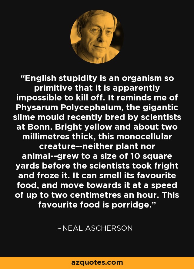 English stupidity is an organism so primitive that it is apparently impossible to kill off. It reminds me of Physarum Polycephalum, the gigantic slime mould recently bred by scientists at Bonn. Bright yellow and about two millimetres thick, this monocellular creature--neither plant nor animal--grew to a size of 10 square yards before the scientists took fright and froze it. It can smell its favourite food, and move towards it at a speed of up to two centimetres an hour. This favourite food is porridge. - Neal Ascherson