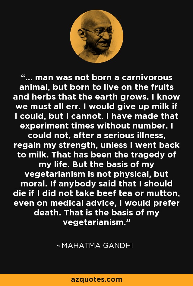 ... man was not born a carnivorous animal, but born to live on the fruits and herbs that the earth grows. I know we must all err. I would give up milk if I could, but I cannot. I have made that experiment times without number. I could not, after a serious illness, regain my strength, unless I went back to milk. That has been the tragedy of my life. But the basis of my vegetarianism is not physical, but moral. If anybody said that I should die if I did not take beef tea or mutton, even on medical advice, I would prefer death. That is the basis of my vegetarianism. - Mahatma Gandhi