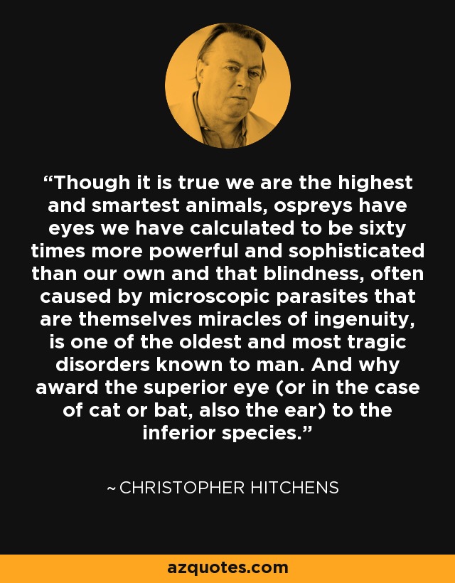 Though it is true we are the highest and smartest animals, ospreys have eyes we have calculated to be sixty times more powerful and sophisticated than our own and that blindness, often caused by microscopic parasites that are themselves miracles of ingenuity, is one of the oldest and most tragic disorders known to man. And why award the superior eye (or in the case of cat or bat, also the ear) to the inferior species. - Christopher Hitchens