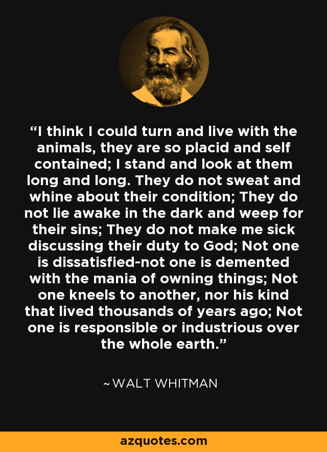 Walt Whitman quote: I think I could turn and live with the animals...