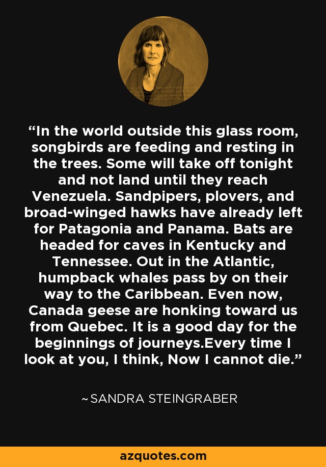 In the world outside this glass room, songbirds are feeding and resting in the trees. Some will take off tonight and not land until they reach Venezuela. Sandpipers, plovers, and broad-winged hawks have already left for Patagonia and Panama. Bats are headed for caves in Kentucky and Tennessee. Out in the Atlantic, humpback whales pass by on their way to the Caribbean. Even now, Canada geese are honking toward us from Quebec. It is a good day for the beginnings of journeys.Every time I look at you, I think, Now I cannot die. - Sandra Steingraber