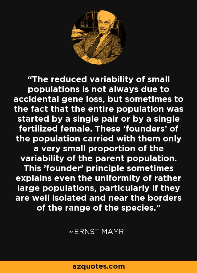 The reduced variability of small populations is not always due to accidental gene loss, but sometimes to the fact that the entire population was started by a single pair or by a single fertilized female. These 'founders' of the population carried with them only a very small proportion of the variability of the parent population. This 'founder' principle sometimes explains even the uniformity of rather large populations, particularly if they are well isolated and near the borders of the range of the species. - Ernst Mayr