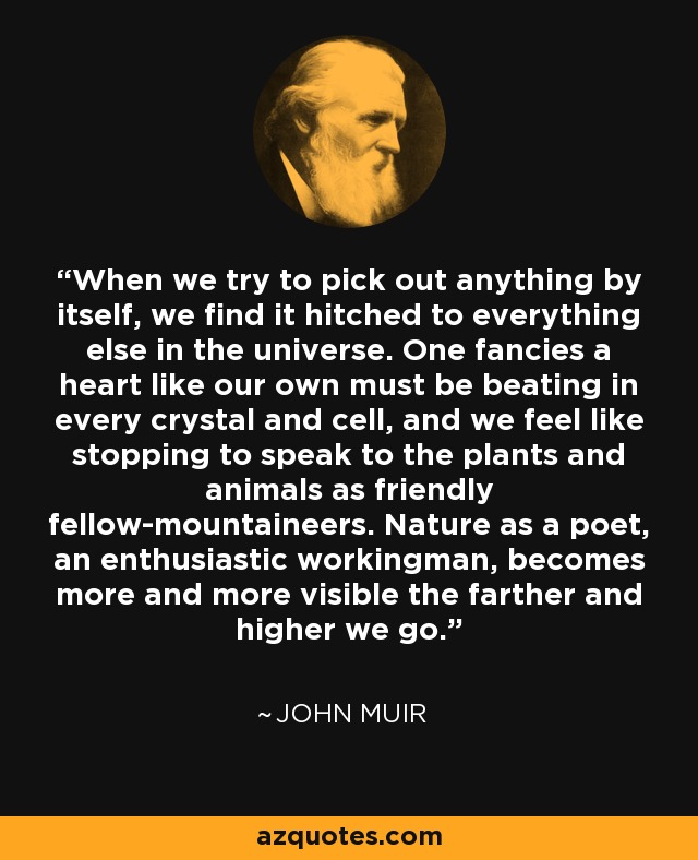 When we try to pick out anything by itself, we find it hitched to everything else in the universe. One fancies a heart like our own must be beating in every crystal and cell, and we feel like stopping to speak to the plants and animals as friendly fellow-mountaineers. Nature as a poet, an enthusiastic workingman, becomes more and more visible the farther and higher we go. - John Muir