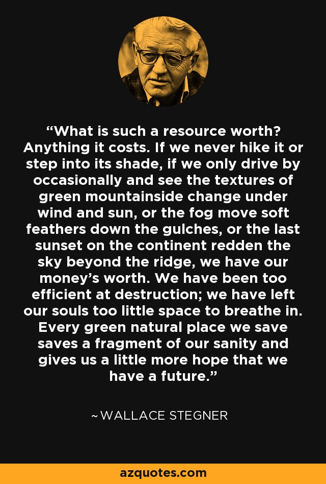 What is such a resource worth? Anything it costs. If we never hike it or step into its shade, if we only drive by occasionally and see the textures of green mountainside change under wind and sun, or the fog move soft feathers down the gulches, or the last sunset on the continent redden the sky beyond the ridge, we have our money's worth. We have been too efficient at destruction; we have left our souls too little space to breathe in. Every green natural place we save saves a fragment of our sanity and gives us a little more hope that we have a future. - Wallace Stegner