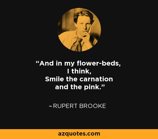 And in my flower-beds, I think, Smile the carnation and the pink. - Rupert Brooke