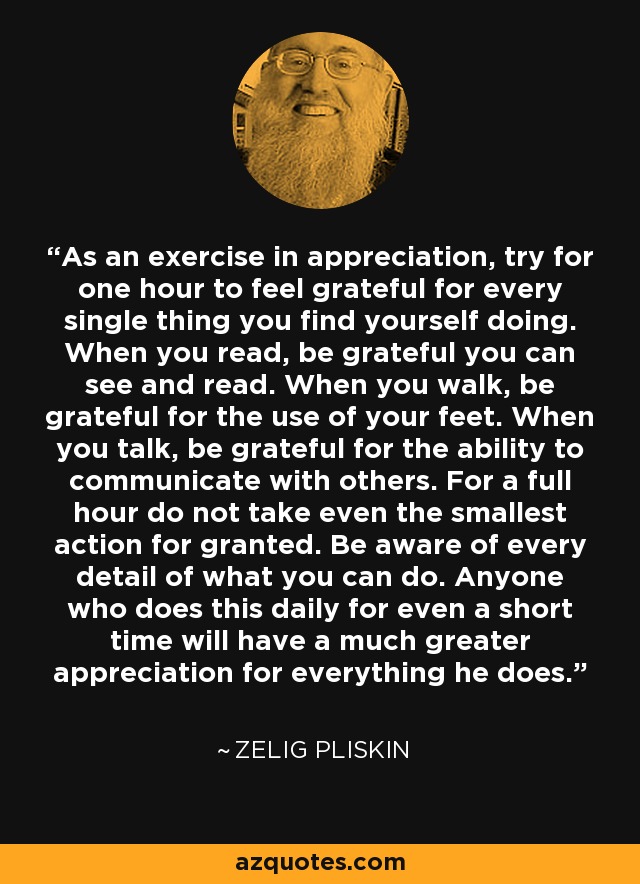 As an exercise in appreciation, try for one hour to feel grateful for every single thing you find yourself doing. When you read, be grateful you can see and read. When you walk, be grateful for the use of your feet. When you talk, be grateful for the ability to communicate with others. For a full hour do not take even the smallest action for granted. Be aware of every detail of what you can do. Anyone who does this daily for even a short time will have a much greater appreciation for everything he does. - Zelig Pliskin