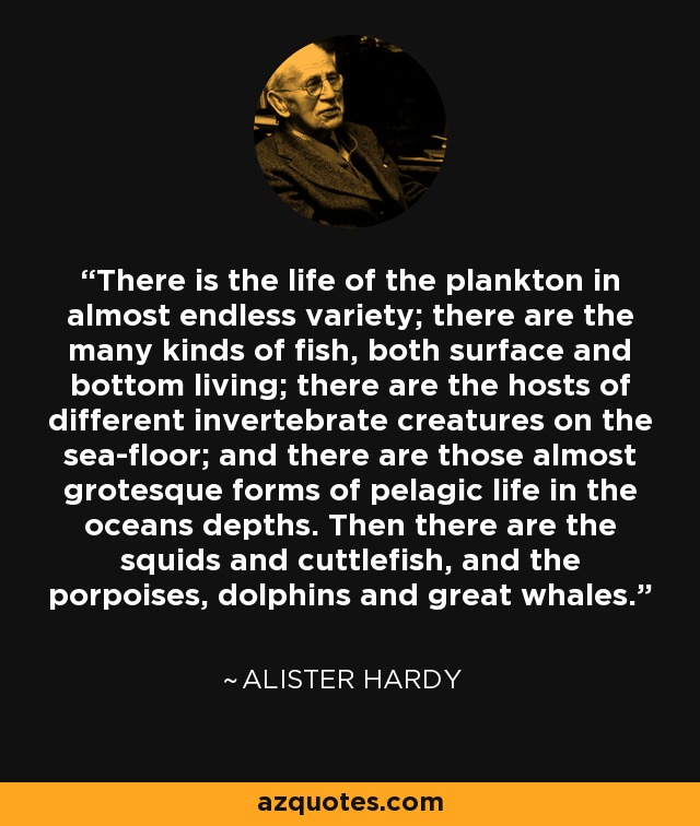 There is the life of the plankton in almost endless variety; there are the many kinds of fish, both surface and bottom living; there are the hosts of different invertebrate creatures on the sea-floor; and there are those almost grotesque forms of pelagic life in the oceans depths. Then there are the squids and cuttlefish, and the porpoises, dolphins and great whales. - Alister Hardy