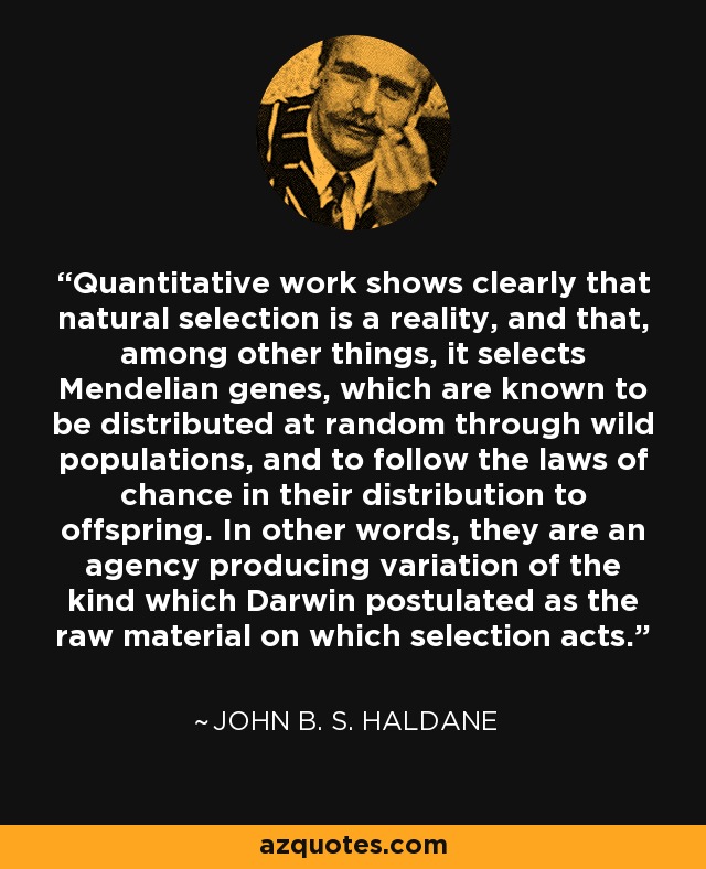 Quantitative work shows clearly that natural selection is a reality, and that, among other things, it selects Mendelian genes, which are known to be distributed at random through wild populations, and to follow the laws of chance in their distribution to offspring. In other words, they are an agency producing variation of the kind which Darwin postulated as the raw material on which selection acts. - John B. S. Haldane