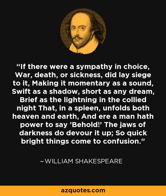 If there were a sympathy in choice, War, death, or sickness, did lay siege to it, Making it momentary as a sound, Swift as a shadow, short as any dream, Brief as the lightning in the collied night That, in a spleen, unfolds both heaven and earth, And ere a man hath power to say 'Behold!' The jaws of darkness do devour it up; So quick bright things come to confusion. - William Shakespeare