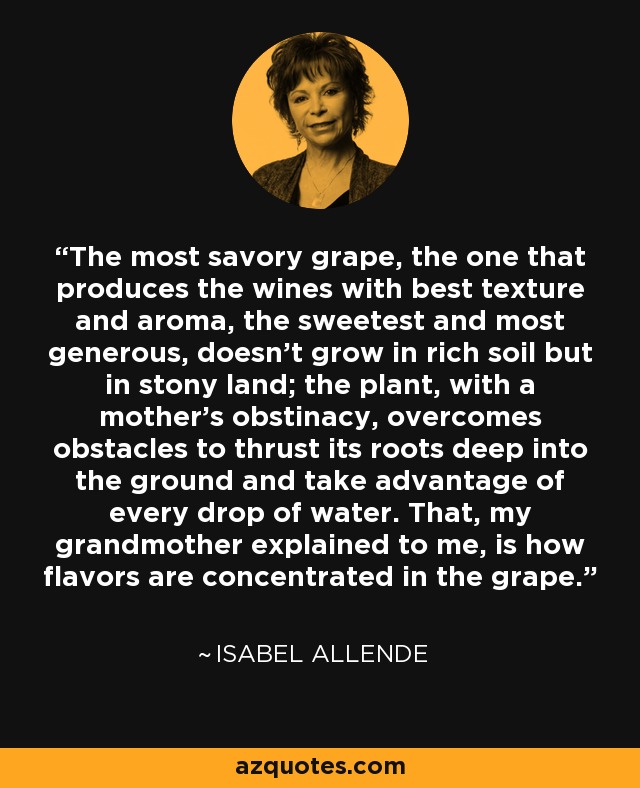 The most savory grape, the one that produces the wines with best texture and aroma, the sweetest and most generous, doesn't grow in rich soil but in stony land; the plant, with a mother's obstinacy, overcomes obstacles to thrust its roots deep into the ground and take advantage of every drop of water. That, my grandmother explained to me, is how flavors are concentrated in the grape. - Isabel Allende