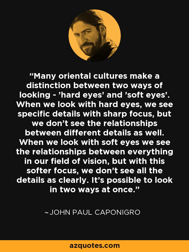 Many oriental cultures make a distinction between two ways of looking - 'hard eyes' and 'soft eyes'. When we look with hard eyes, we see specific details with sharp focus, but we don't see the relationships between different details as well. When we look with soft eyes we see the relationships between everything in our field of vision, but with this softer focus, we don't see all the details as clearly. It's possible to look in two ways at once. - John Paul Caponigro