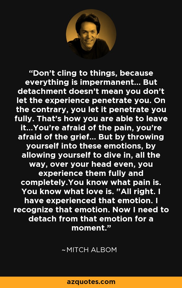 Don't cling to things, because everything is impermanent... But detachment doesn't mean you don't let the experience penetrate you. On the contrary, you let it penetrate you fully. That's how you are able to leave it...You're afraid of the pain, you're afraid of the grief... But by throwing yourself into these emotions, by allowing yourself to dive in, all the way, over your head even, you experience them fully and completely.You know what pain is. You know what love is. 
