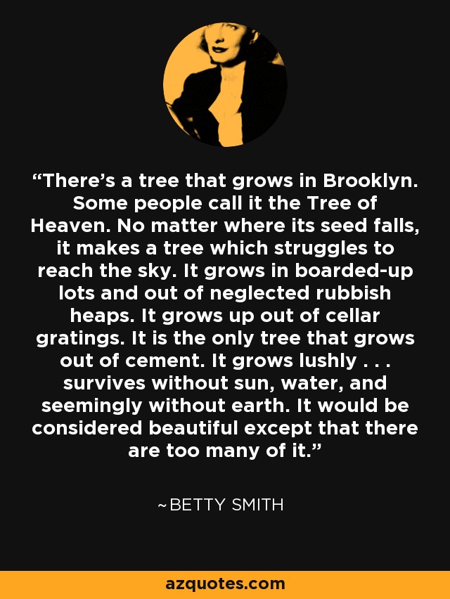 There's a tree that grows in Brooklyn. Some people call it the Tree of Heaven. No matter where its seed falls, it makes a tree which struggles to reach the sky. It grows in boarded-up lots and out of neglected rubbish heaps. It grows up out of cellar gratings. It is the only tree that grows out of cement. It grows lushly . . . survives without sun, water, and seemingly without earth. It would be considered beautiful except that there are too many of it. - Betty Smith