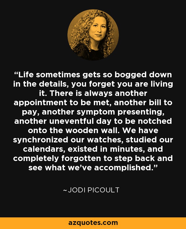 Life sometimes gets so bogged down in the details, you forget you are living it. There is always another appointment to be met, another bill to pay, another symptom presenting, another uneventful day to be notched onto the wooden wall. We have synchronized our watches, studied our calendars, existed in minutes, and completely forgotten to step back and see what we've accomplished. - Jodi Picoult