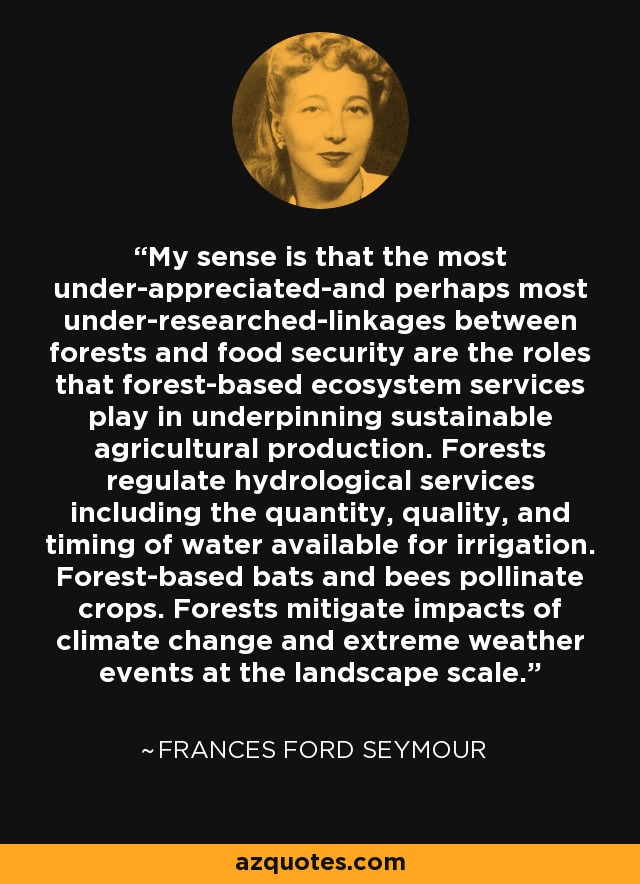 My sense is that the most under-appreciated-and perhaps most under-researched-linkages between forests and food security are the roles that forest-based ecosystem services play in underpinning sustainable agricultural production. Forests regulate hydrological services including the quantity, quality, and timing of water available for irrigation. Forest-based bats and bees pollinate crops. Forests mitigate impacts of climate change and extreme weather events at the landscape scale. - Frances Ford Seymour