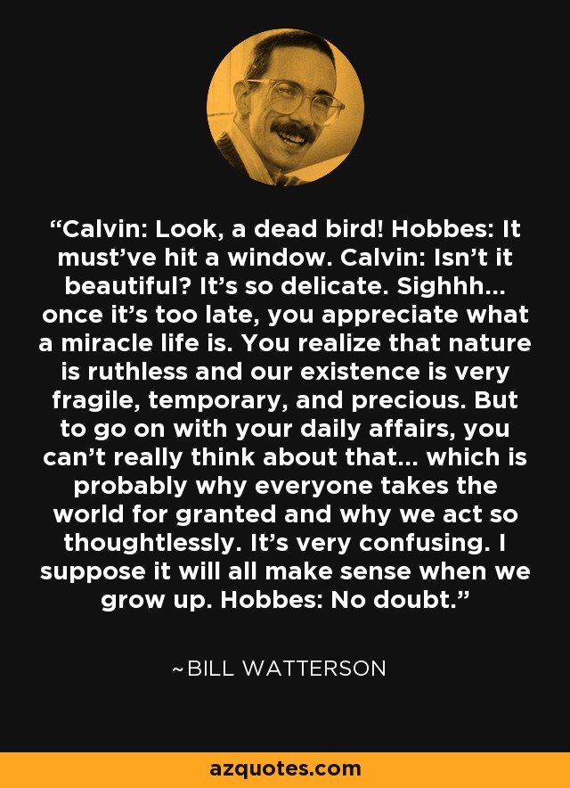 Calvin: Look, a dead bird! Hobbes: It must've hit a window. Calvin: Isn't it beautiful? It's so delicate. Sighhh... once it's too late, you appreciate what a miracle life is. You realize that nature is ruthless and our existence is very fragile, temporary, and precious. But to go on with your daily affairs, you can't really think about that... which is probably why everyone takes the world for granted and why we act so thoughtlessly. It's very confusing. I suppose it will all make sense when we grow up. Hobbes: No doubt. - Bill Watterson