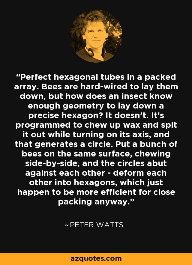 Perfect hexagonal tubes in a packed array. Bees are hard-wired to lay them down, but how does an insect know enough geometry to lay down a precise hexagon? It doesn't. It's programmed to chew up wax and spit it out while turning on its axis, and that generates a circle. Put a bunch of bees on the same surface, chewing side-by-side, and the circles abut against each other - deform each other into hexagons, which just happen to be more efficient for close packing anyway. - Peter Watts