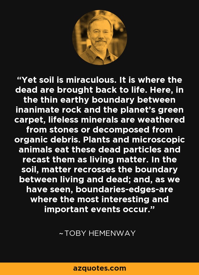 Yet soil is miraculous. It is where the dead are brought back to life. Here, in the thin earthy boundary between inanimate rock and the planet's green carpet, lifeless minerals are weathered from stones or decomposed from organic debris. Plants and microscopic animals eat these dead particles and recast them as living matter. In the soil, matter recrosses the boundary between living and dead; and, as we have seen, boundaries-edges-are where the most interesting and important events occur. - Toby Hemenway