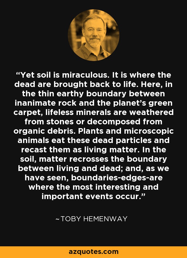 Yet soil is miraculous. It is where the dead are brought back to life. Here, in the thin earthy boundary between inanimate rock and the planet's green carpet, lifeless minerals are weathered from stones or decomposed from organic debris. Plants and microscopic animals eat these dead particles and recast them as living matter. In the soil, matter recrosses the boundary between living and dead; and, as we have seen, boundaries-edges-are where the most interesting and important events occur. - Toby Hemenway