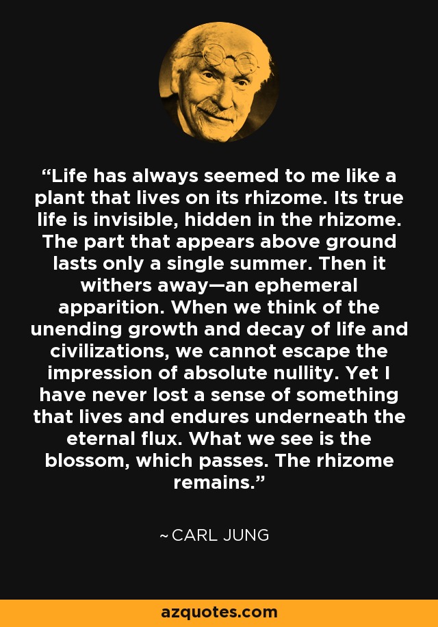 Life has always seemed to me like a plant that lives on its rhizome. Its true life is invisible, hidden in the rhizome. The part that appears above ground lasts only a single summer. Then it withers away—an ephemeral apparition. When we think of the unending growth and decay of life and civilizations, we cannot escape the impression of absolute nullity. Yet I have never lost a sense of something that lives and endures underneath the eternal flux. What we see is the blossom, which passes. The rhizome remains. - Carl Jung