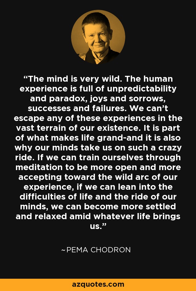 The mind is very wild. The human experience is full of unpredictability and paradox, joys and sorrows, successes and failures. We can't escape any of these experiences in the vast terrain of our existence. It is part of what makes life grand-and it is also why our minds take us on such a crazy ride. If we can train ourselves through meditation to be more open and more accepting toward the wild arc of our experience, if we can lean into the difficulties of life and the ride of our minds, we can become more settled and relaxed amid whatever life brings us. - Pema Chodron