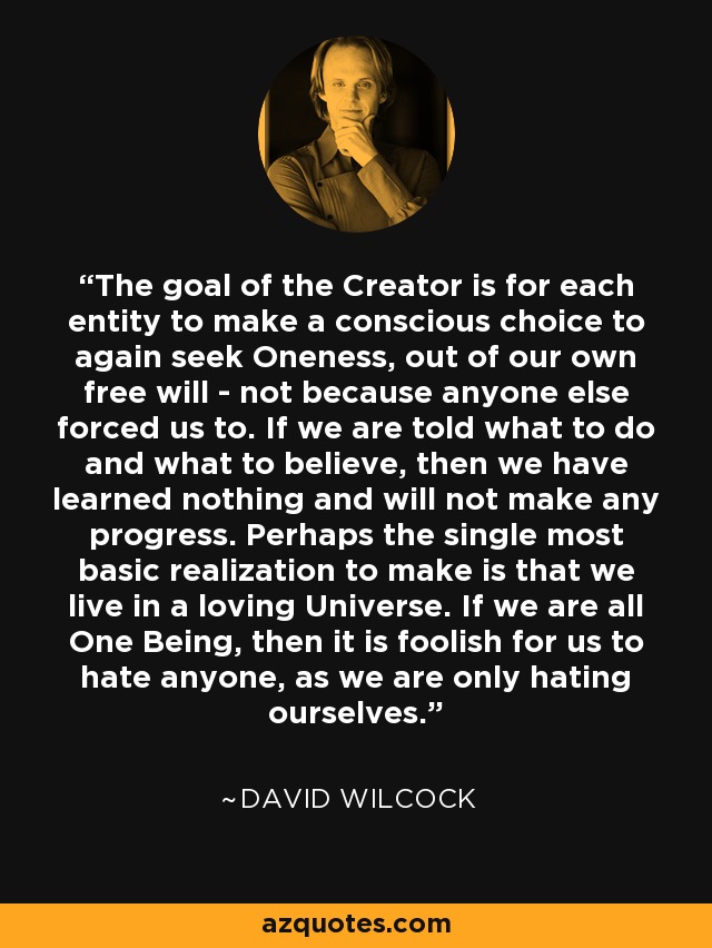 The goal of the Creator is for each entity to make a conscious choice to again seek Oneness, out of our own free will - not because anyone else forced us to. If we are told what to do and what to believe, then we have learned nothing and will not make any progress. Perhaps the single most basic realization to make is that we live in a loving Universe. If we are all One Being, then it is foolish for us to hate anyone, as we are only hating ourselves. - David Wilcock