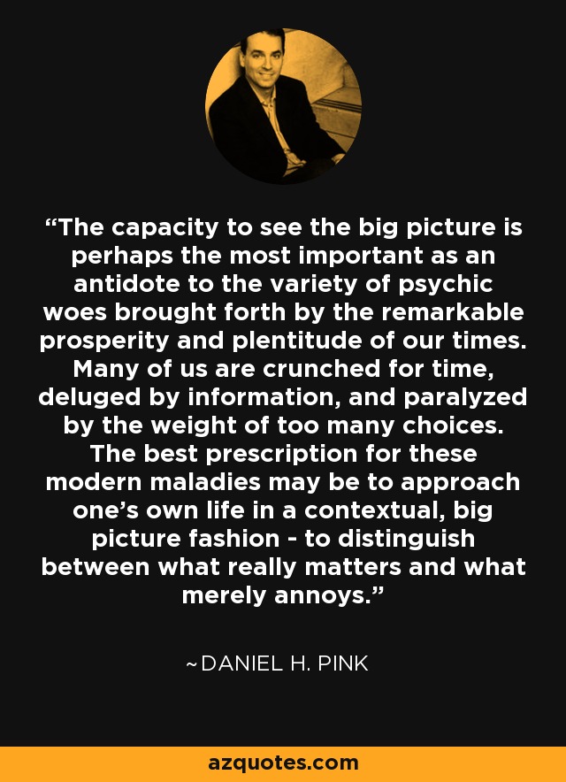 The capacity to see the big picture is perhaps the most important as an antidote to the variety of psychic woes brought forth by the remarkable prosperity and plentitude of our times. Many of us are crunched for time, deluged by information, and paralyzed by the weight of too many choices. The best prescription for these modern maladies may be to approach one's own life in a contextual, big picture fashion - to distinguish between what really matters and what merely annoys. - Daniel H. Pink