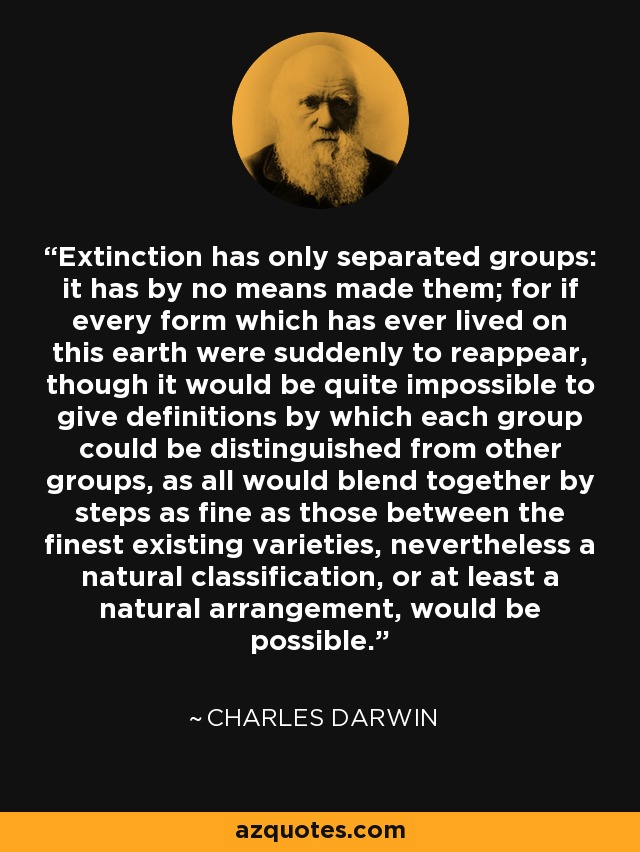 Extinction has only separated groups: it has by no means made them; for if every form which has ever lived on this earth were suddenly to reappear, though it would be quite impossible to give definitions by which each group could be distinguished from other groups, as all would blend together by steps as fine as those between the finest existing varieties, nevertheless a natural classification, or at least a natural arrangement, would be possible. - Charles Darwin