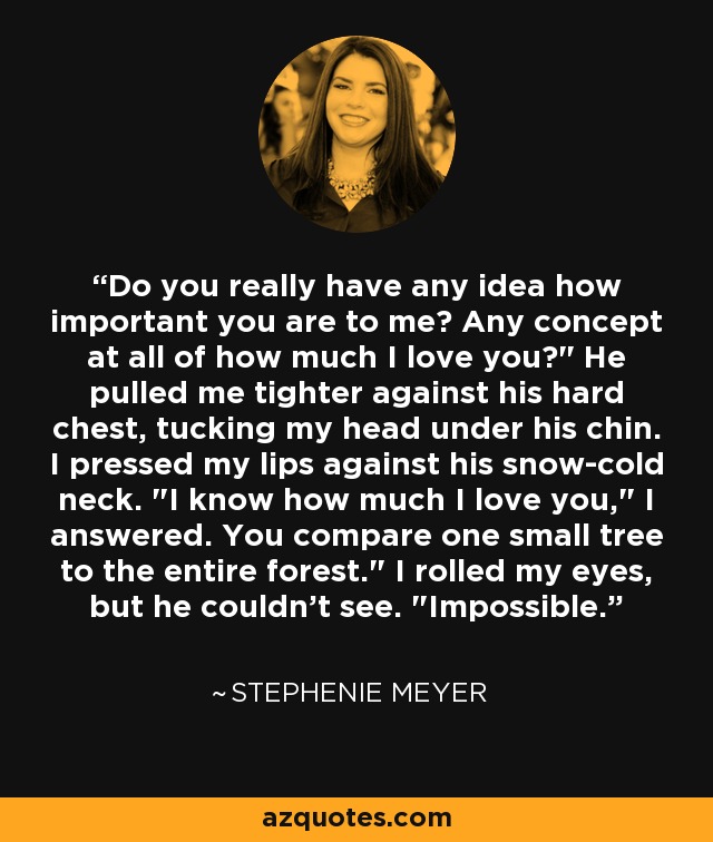 Do you really have any idea how important you are to me? Any concept at all of how much I love you?