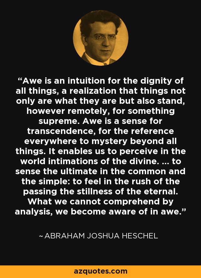 Awe is an intuition for the dignity of all things, a realization that things not only are what they are but also stand, however remotely, for something supreme. Awe is a sense for transcendence, for the reference everywhere to mystery beyond all things. It enables us to perceive in the world intimations of the divine. ... to sense the ultimate in the common and the simple: to feel in the rush of the passing the stillness of the eternal. What we cannot comprehend by analysis, we become aware of in awe. - Abraham Joshua Heschel
