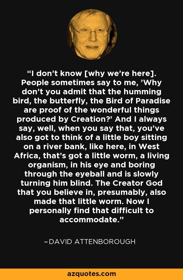 I don't know [why we're here]. People sometimes say to me, 'Why don't you admit that the humming bird, the butterfly, the Bird of Paradise are proof of the wonderful things produced by Creation?' And I always say, well, when you say that, you've also got to think of a little boy sitting on a river bank, like here, in West Africa, that's got a little worm, a living organism, in his eye and boring through the eyeball and is slowly turning him blind. The Creator God that you believe in, presumably, also made that little worm. Now I personally find that difficult to accommodate. - David Attenborough