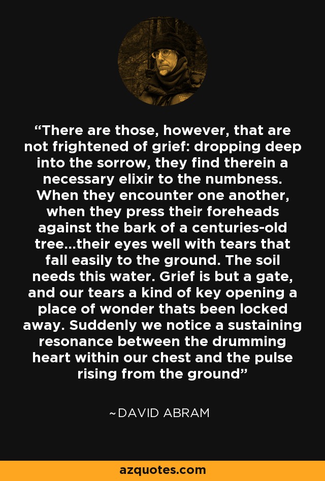 There are those, however, that are not frightened of grief: dropping deep into the sorrow, they find therein a necessary elixir to the numbness. When they encounter one another, when they press their foreheads against the bark of a centuries-old tree...their eyes well with tears that fall easily to the ground. The soil needs this water. Grief is but a gate, and our tears a kind of key opening a place of wonder thats been locked away. Suddenly we notice a sustaining resonance between the drumming heart within our chest and the pulse rising from the ground - David Abram