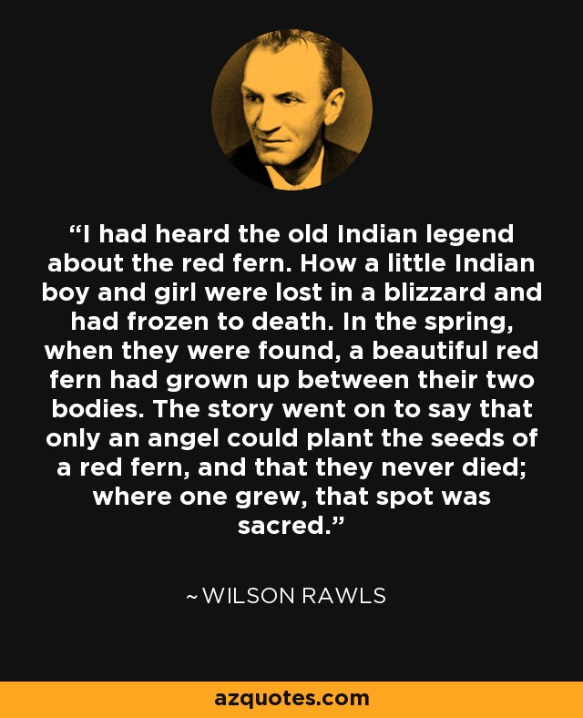 I had heard the old Indian legend about the red fern. How a little Indian boy and girl were lost in a blizzard and had frozen to death. In the spring, when they were found, a beautiful red fern had grown up between their two bodies. The story went on to say that only an angel could plant the seeds of a red fern, and that they never died; where one grew, that spot was sacred. - Wilson Rawls
