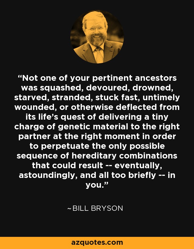 Not one of your pertinent ancestors was squashed, devoured, drowned, starved, stranded, stuck fast, untimely wounded, or otherwise deflected from its life's quest of delivering a tiny charge of genetic material to the right partner at the right moment in order to perpetuate the only possible sequence of hereditary combinations that could result -- eventually, astoundingly, and all too briefly -- in you. - Bill Bryson