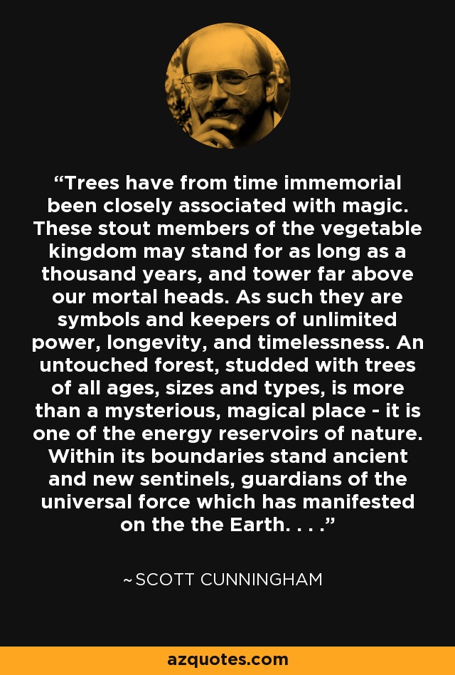 Trees have from time immemorial been closely associated with magic. These stout members of the vegetable kingdom may stand for as long as a thousand years, and tower far above our mortal heads. As such they are symbols and keepers of unlimited power, longevity, and timelessness. An untouched forest, studded with trees of all ages, sizes and types, is more than a mysterious, magical place - it is one of the energy reservoirs of nature. Within its boundaries stand ancient and new sentinels, guardians of the universal force which has manifested on the the Earth. . . . - Scott Cunningham
