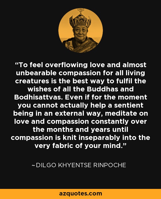 To feel overflowing love and almost unbearable compassion for all living creatures is the best way to fulfil the wishes of all the Buddhas and Bodhisattvas. Even if for the moment you cannot actually help a sentient being in an external way, meditate on love and compassion constantly over the months and years until compassion is knit inseparably into the very fabric of your mind. - Dilgo Khyentse Rinpoche