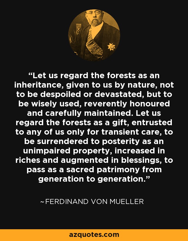 Let us regard the forests as an inheritance, given to us by nature, not to be despoiled or devastated, but to be wisely used, reverently honoured and carefully maintained. Let us regard the forests as a gift, entrusted to any of us only for transient care, to be surrendered to posterity as an unimpaired property, increased in riches and augmented in blessings, to pass as a sacred patrimony from generation to generation. - Ferdinand von Mueller