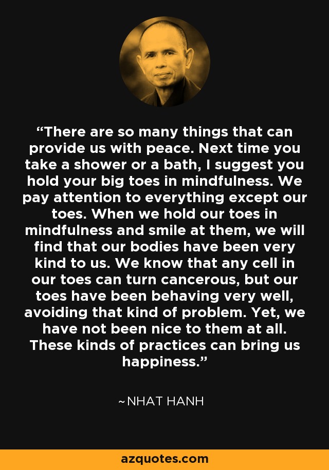 There are so many things that can provide us with peace. Next time you take a shower or a bath, I suggest you hold your big toes in mindfulness. We pay attention to everything except our toes. When we hold our toes in mindfulness and smile at them, we will find that our bodies have been very kind to us. We know that any cell in our toes can turn cancerous, but our toes have been behaving very well, avoiding that kind of problem. Yet, we have not been nice to them at all. These kinds of practices can bring us happiness. - Nhat Hanh