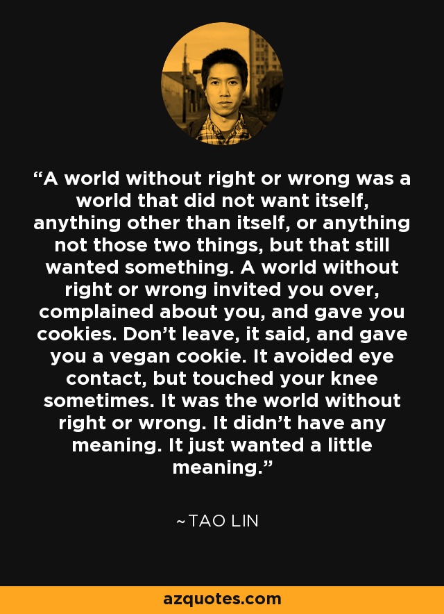 A world without right or wrong was a world that did not want itself, anything other than itself, or anything not those two things, but that still wanted something. A world without right or wrong invited you over, complained about you, and gave you cookies. Don't leave, it said, and gave you a vegan cookie. It avoided eye contact, but touched your knee sometimes. It was the world without right or wrong. It didn't have any meaning. It just wanted a little meaning. - Tao Lin