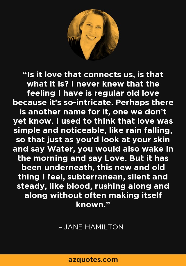 Is it love that connects us, is that what it is? I never knew that the feeling I have is regular old love because it's so-intricate. Perhaps there is another name for it, one we don't yet know. I used to think that love was simple and noticeable, like rain falling, so that just as you'd look at your skin and say Water, you would also wake in the morning and say Love. But it has been underneath, this new and old thing I feel, subterranean, silent and steady, like blood, rushing along and along without often making itself known. - Jane Hamilton