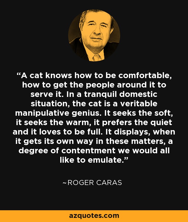 A cat knows how to be comfortable, how to get the people around it to serve it. In a tranquil domestic situation, the cat is a veritable manipulative genius. It seeks the soft, it seeks the warm, it prefers the quiet and it loves to be full. It displays, when it gets its own way in these matters, a degree of contentment we would all like to emulate. - Roger Caras