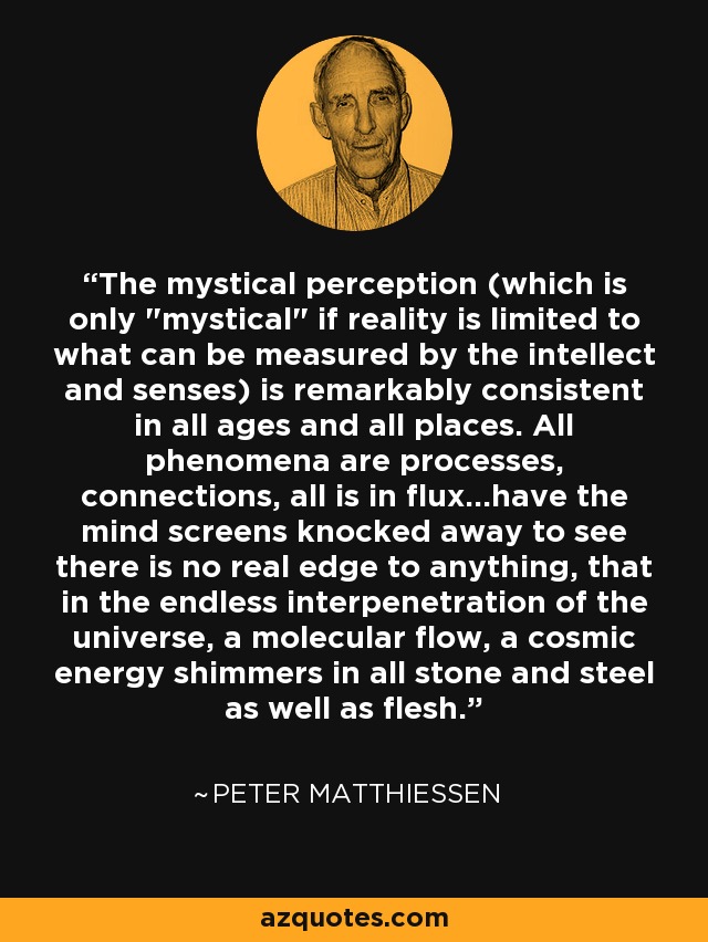 The mystical perception (which is only 