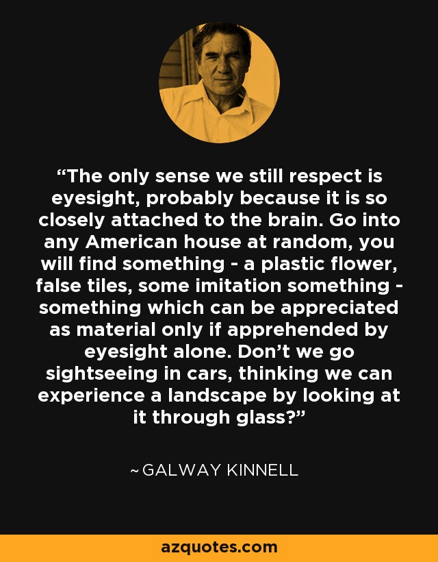 The only sense we still respect is eyesight, probably because it is so closely attached to the brain. Go into any American house at random, you will find something - a plastic flower, false tiles, some imitation something - something which can be appreciated as material only if apprehended by eyesight alone. Don't we go sightseeing in cars, thinking we can experience a landscape by looking at it through glass? - Galway Kinnell