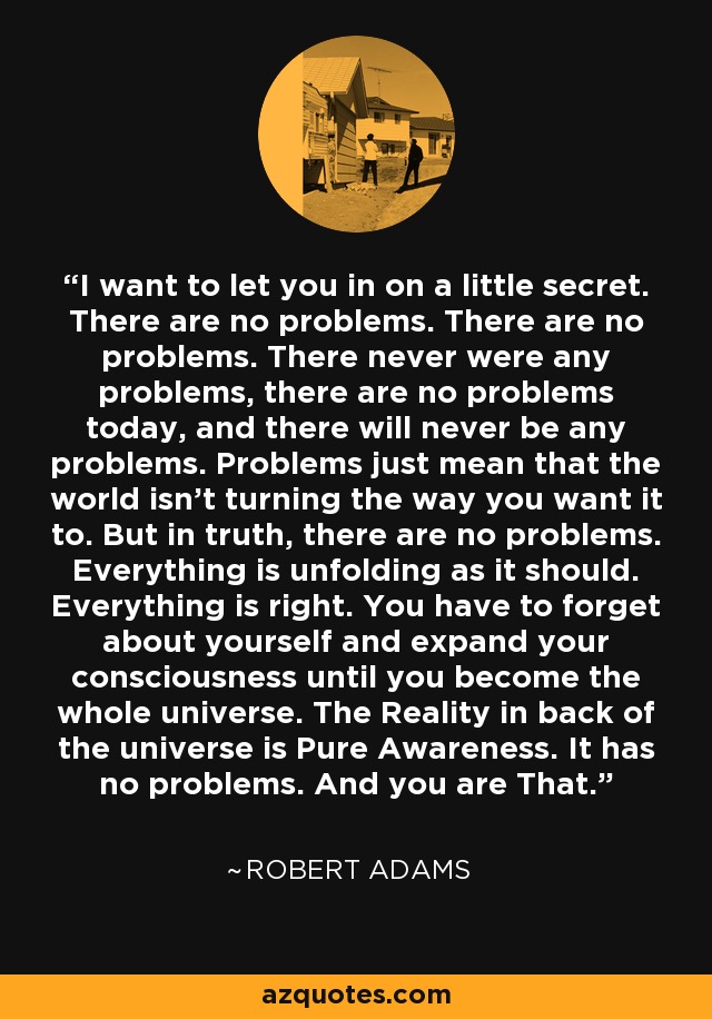 I want to let you in on a little secret. There are no problems. There are no problems. There never were any problems, there are no problems today, and there will never be any problems. Problems just mean that the world isn't turning the way you want it to. But in truth, there are no problems. Everything is unfolding as it should. Everything is right. You have to forget about yourself and expand your consciousness until you become the whole universe. The Reality in back of the universe is Pure Awareness. It has no problems. And you are That. - Robert Adams